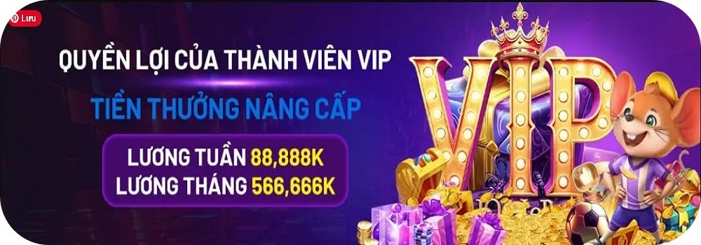 566win THÀNH VIÊN MỚI